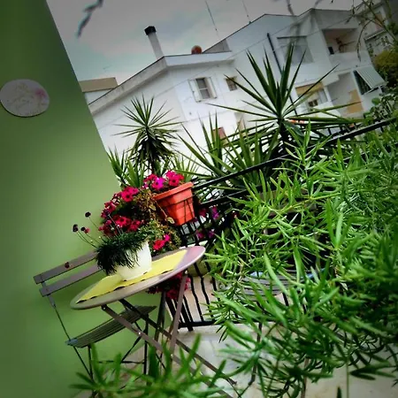 L'angolo Fiorito 3* Bernalda