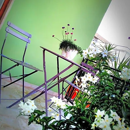 Bed & Breakfast L'angolo Fiorito Bernalda